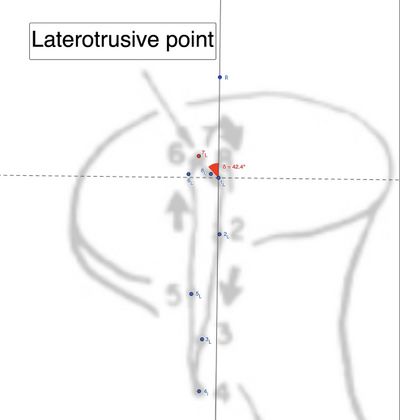 Figura 2: Rappresentazione grafica reale dei punti marcati nel ciclo masticatorio