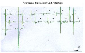 Figure 4 (Iani).jpg