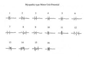 Figure 3 ( Iani).jpg