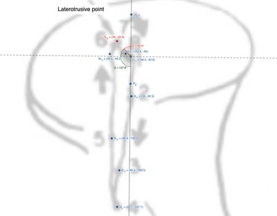 Figura 2: Rappresentazione grafica reale dei punti marcati nel ciclo masticatorio